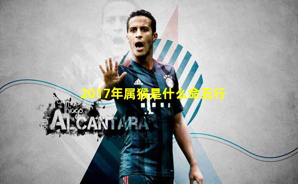 2017年属猴是什么命五行