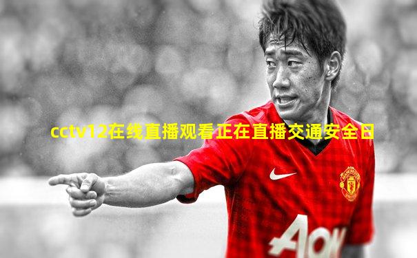 cctv12在线直播观看正在直播交通安全日