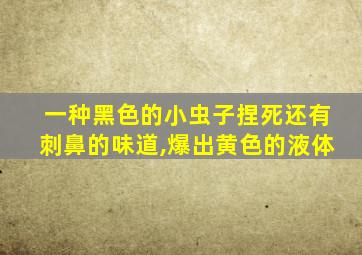 一种黑色的小虫子捏死还有刺鼻的味道,爆出黄色的液体