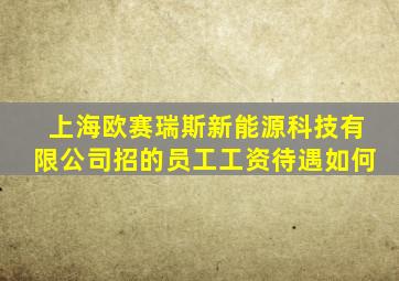 上海欧赛瑞斯新能源科技有限公司招的员工工资待遇如何