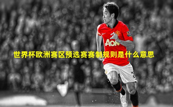 世界杯欧洲赛区预选赛赛制规则是什么意思