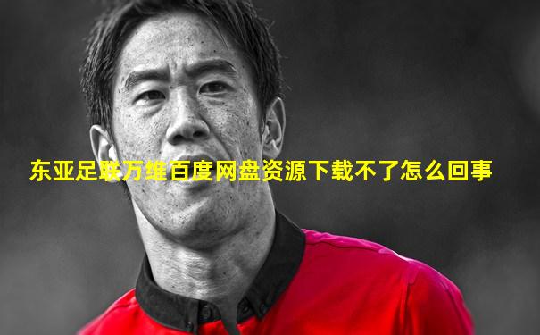 东亚足联万维百度网盘资源下载不了怎么回事