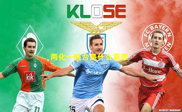 两化一融合是什么意思