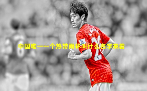 中国唯一一个热带雨林叫什么名字来着