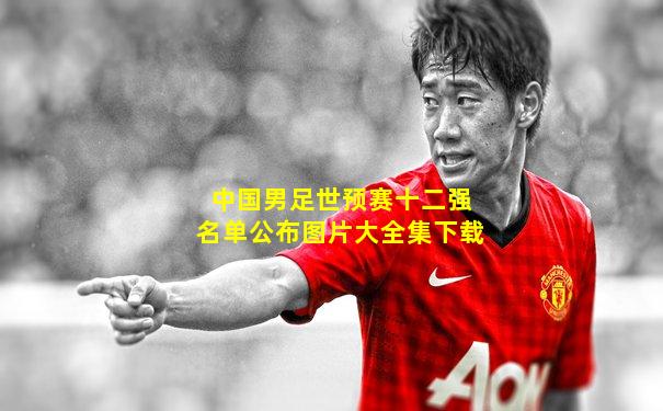 中国男足世预赛十二强名单公布图片大全集下载