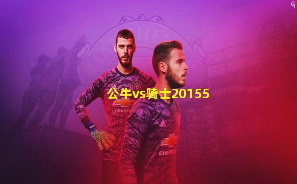 公牛vs骑士20155
