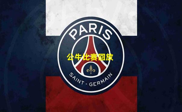 公牛比赛回放