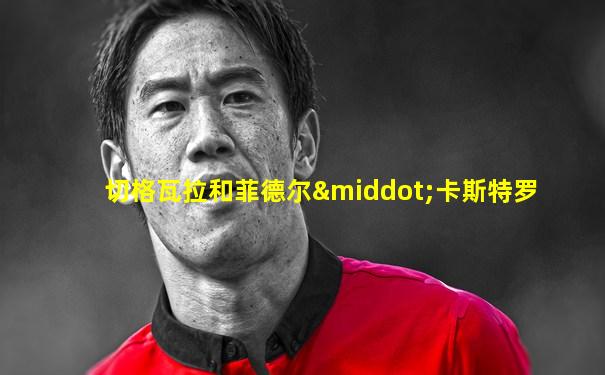 切格瓦拉和菲德尔·卡斯特罗