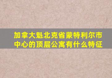 加拿大魁北克省蒙特利尔市中心的顶层公寓有什么特征