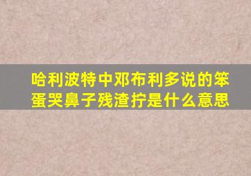 哈利波特中邓布利多说的笨蛋哭鼻子残渣拧是什么意思