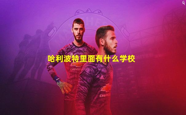 哈利波特里面有什么学校