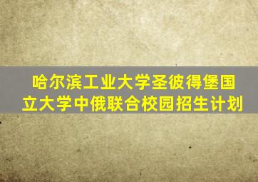 哈尔滨工业大学圣彼得堡国立大学中俄联合校园招生计划