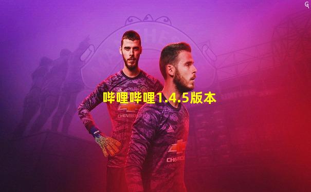 哔哩哔哩1.4.5版本