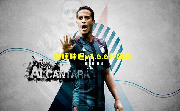哔哩哔哩v1.6.6升级版