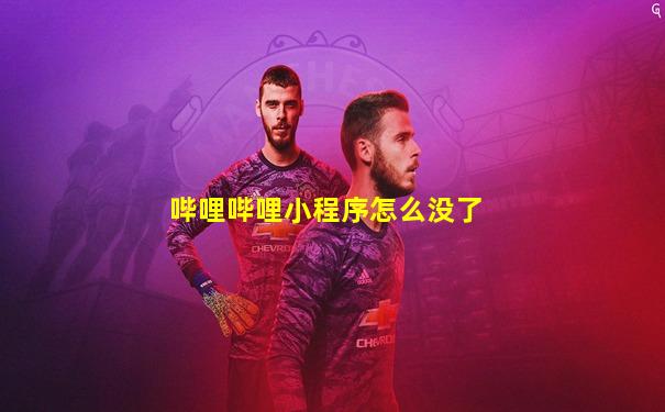 哔哩哔哩小程序怎么没了