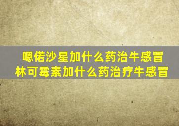 嗯偌沙星加什么药治牛感冒林可霉素加什么药治疗牛感冒