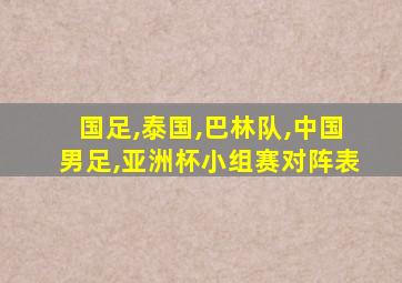 国足,泰国,巴林队,中国男足,亚洲杯小组赛对阵表