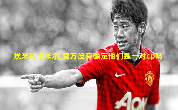 埃米和卡米尔,官方没有确定他们是一对cp吗
