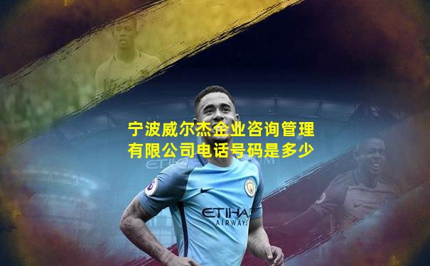 宁波威尔杰企业咨询管理有限公司电话号码是多少