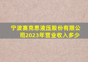 宁波赛克思液压股份有限公司2023年营业收入多少