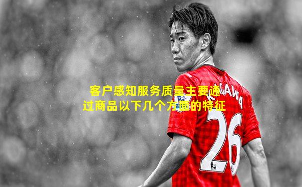 客户感知服务质量主要通过商品以下几个方面的特征