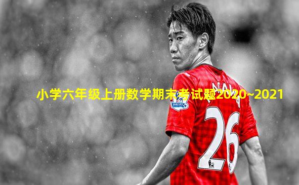 小学六年级上册数学期末考试题2020~2021