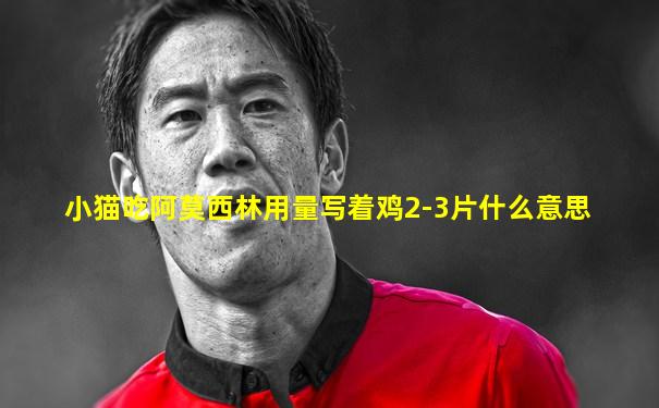 小猫吃阿莫西林用量写着鸡2-3片什么意思