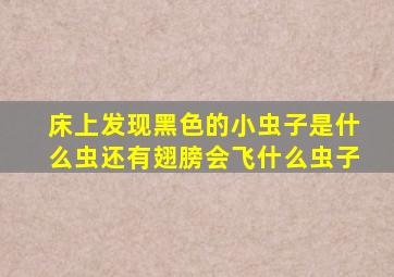 床上发现黑色的小虫子是什么虫还有翅膀会飞什么虫子