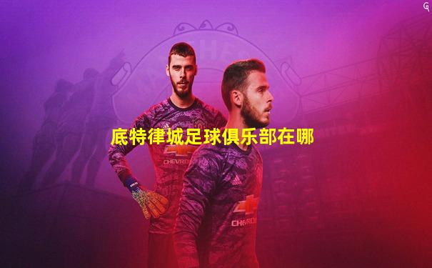 底特律城足球俱乐部在哪