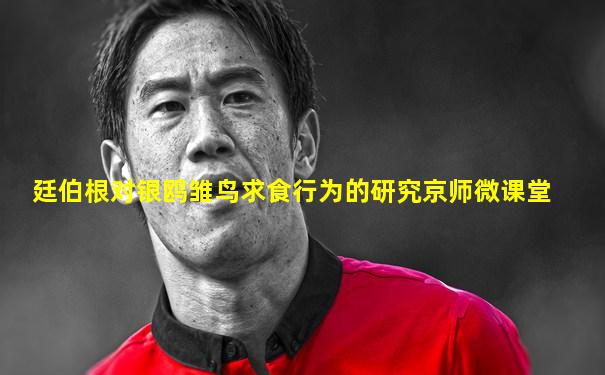 廷伯根对银鸥雏鸟求食行为的研究京师微课堂
