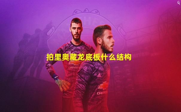 拍里奥藏龙底板什么结构