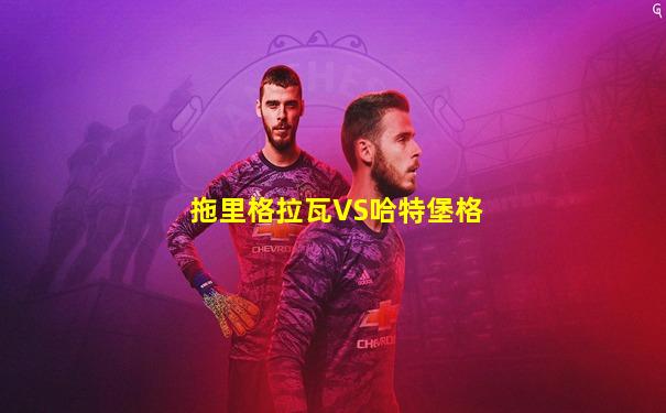 拖里格拉瓦VS哈特堡格
