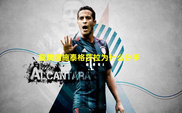 施魏因施泰格莎拉为什么分手
