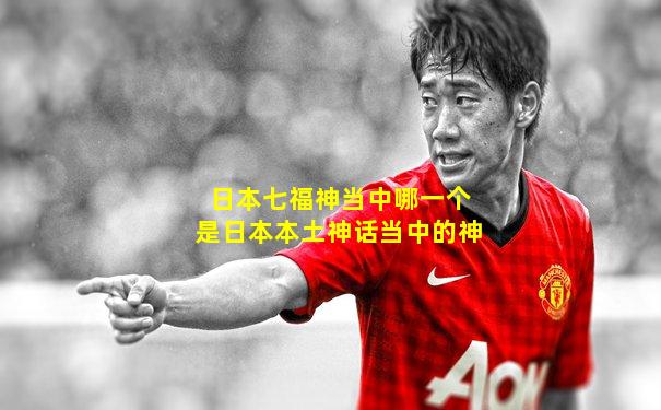 日本七福神当中哪一个是日本本土神话当中的神