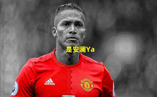 是安澜Ya