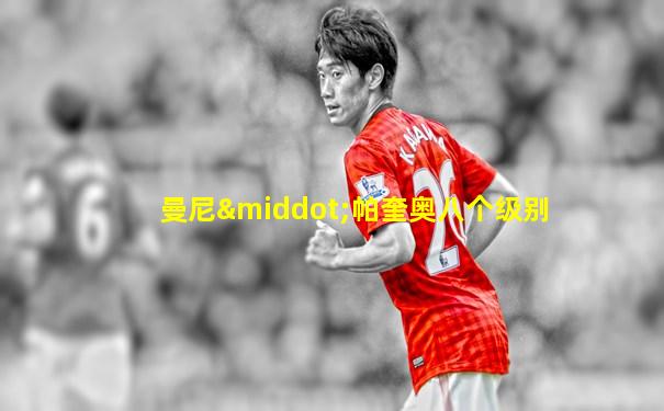 曼尼·帕奎奥八个级别