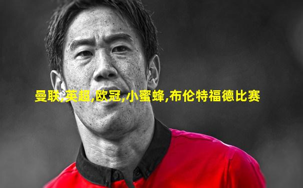 曼联,英超,欧冠,小蜜蜂,布伦特福德比赛