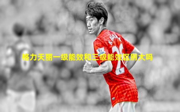 格力天丽一级能效和三级能效区别大吗