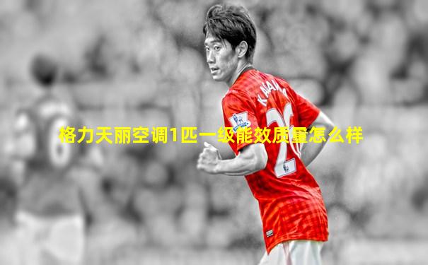 格力天丽空调1匹一级能效质量怎么样