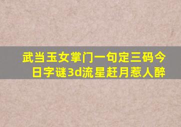 武当玉女掌门一句定三码今日字谜3d流星赶月惹人醉