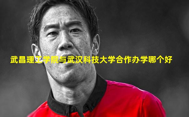 武昌理工学院与武汉科技大学合作办学哪个好