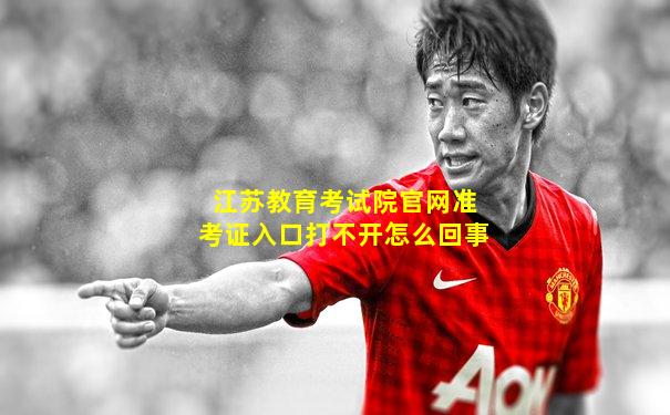 江苏教育考试院官网准考证入口打不开怎么回事