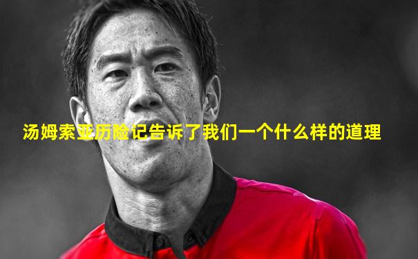 汤姆索亚历险记告诉了我们一个什么样的道理