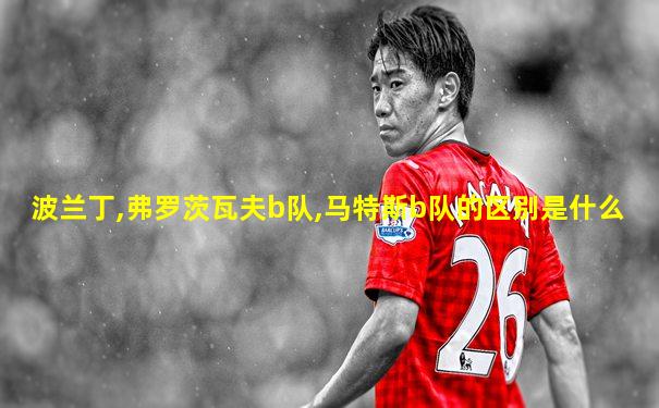 波兰丁,弗罗茨瓦夫b队,马特斯b队的区别是什么