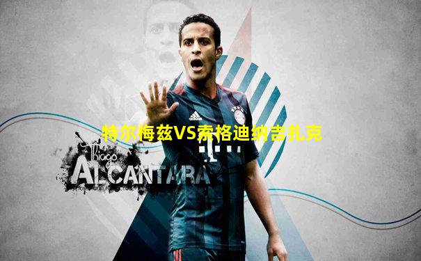 特尔梅兹VS索格迪纳吉扎克
