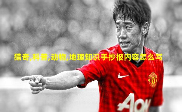 猎奇,科普,动物,地理知识手抄报内容怎么写