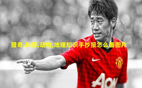 猎奇,科普,动物,地理知识手抄报怎么画图片