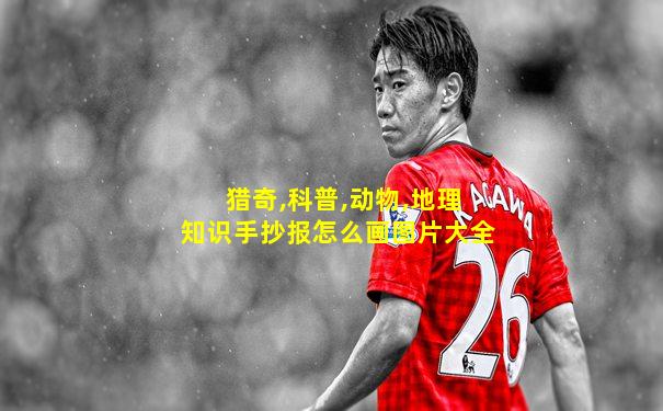 猎奇,科普,动物,地理知识手抄报怎么画图片大全