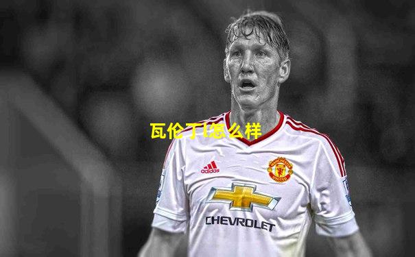 瓦伦丁l怎么样