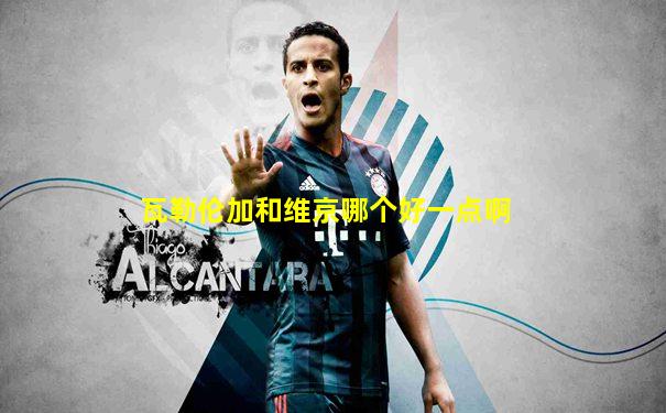 瓦勒伦加和维京哪个好一点啊